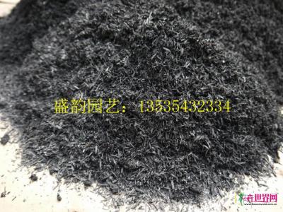 稻谷灰